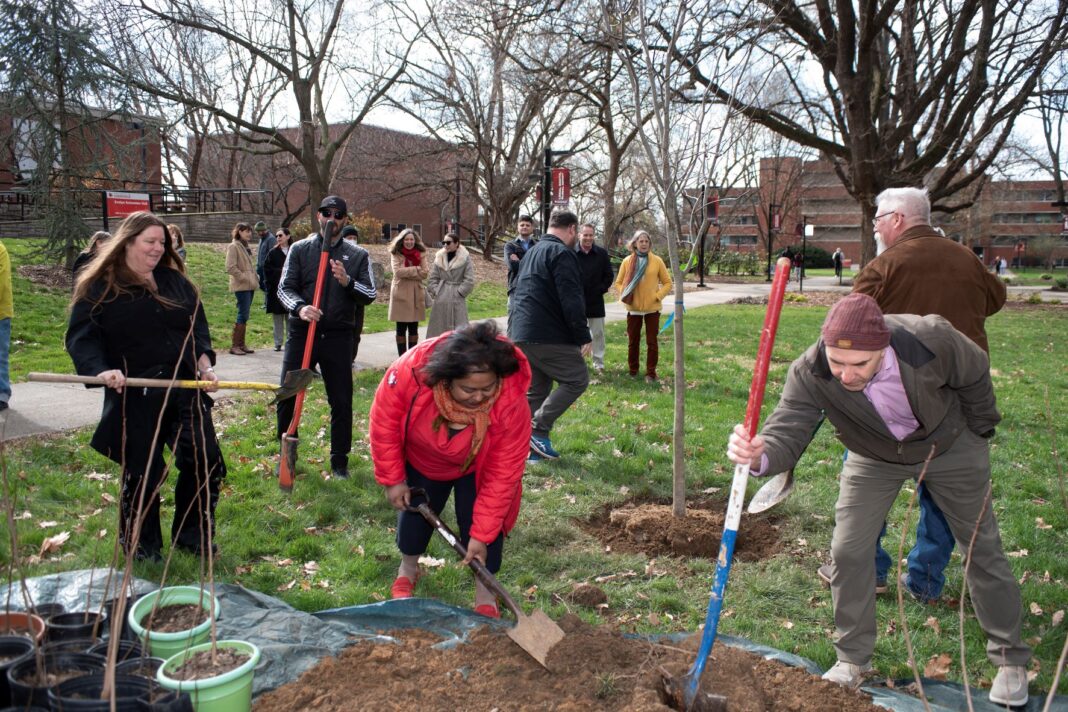 tree planting on Belknap campus_resized for ULN people planting trees on UofL's Belknap campus